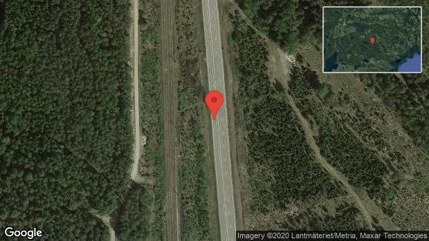 Älg på vägen på väg 55