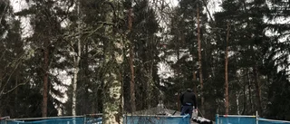 Dansbanan i Gamla Linköping piffas upp