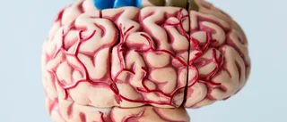 Allt färre drabbas av stroke