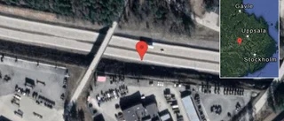 Rådjur på vägen på E18