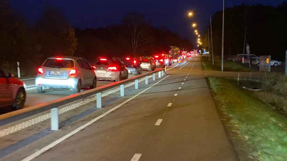 Köer efter olyckan.