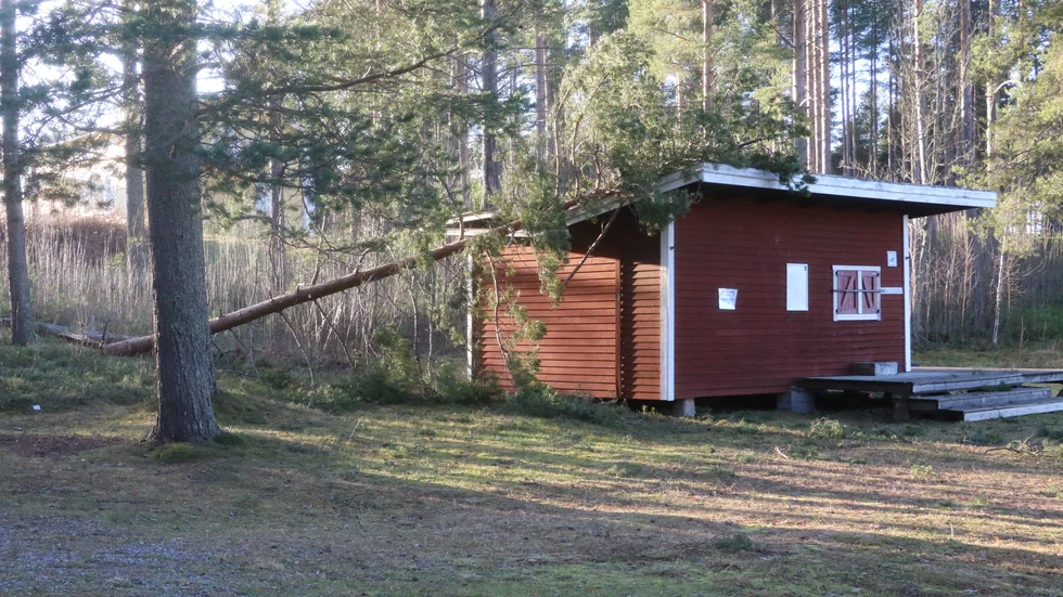 En tall med dåligt fäste har fallit i stormen – tvärs över taket till kiosken i Hamnviken. Öjeby fiskeförening kommer att ombesörja att tallen tas ner, men byggnaden lär inte repareras utan rivas.