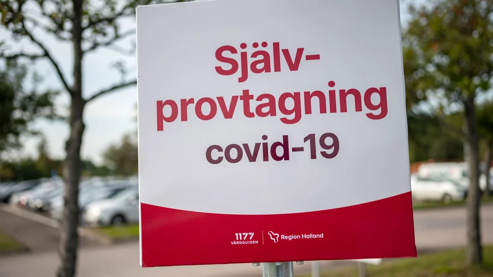 Regeringen ska göra sitt "yttersta" för att få till testning som möter behovet. Arkivbild.