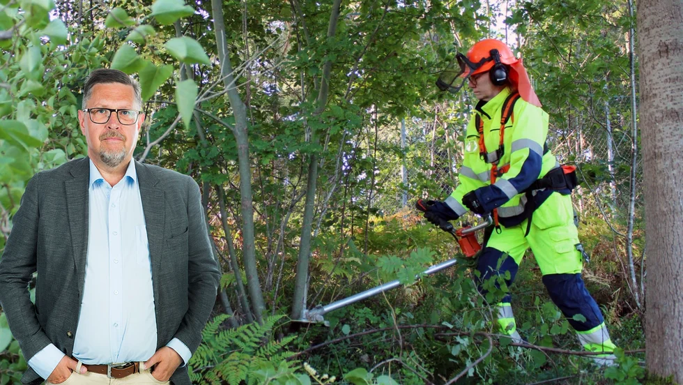 NSD:s Olov Abrahamsson påminner om när M, KD och SD skrotade den framgångsrika satsningen på gröna jobben.
