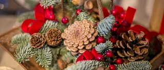 Elins julkalender: 20 december 