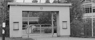 Juli för 50 år sen