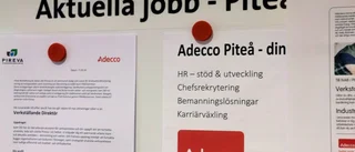 Stark jobbprognos i norr