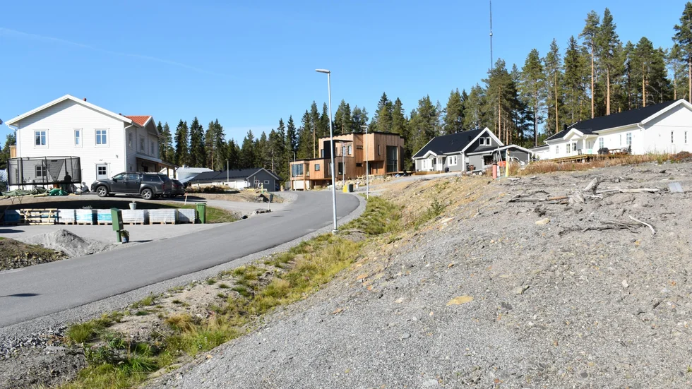 Skribenten hade föredragit att det byggts hyresrätter istället för småhus på Västra Eriksberg.