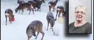 "Jag tycker att de är jättefina"