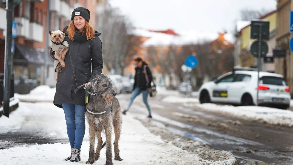 Maria Pedersen Daros tog en morgonrunda i centrala Eskilstuna i sällskap av den lite bekväma och smått frusna yorkshire terriern Leo och den mer stoiska irländska varghunden Godfrey.