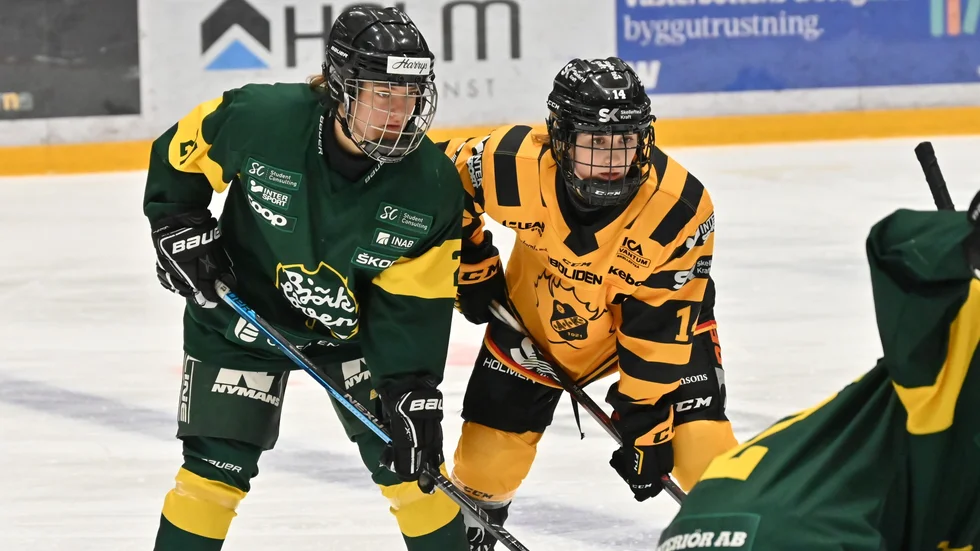 Det väntas storpublik och fest på läktarna när Skellefteå AIK på lördagen har chansen att slå ut Björklöven ur kvalspelet till SDHL.