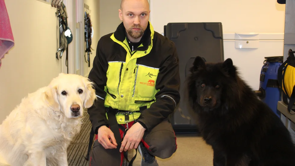 Mattias Stjernström driver hunddagiset Mest djur. Här med golden retrievern Tjorven och eurasiern Totte.