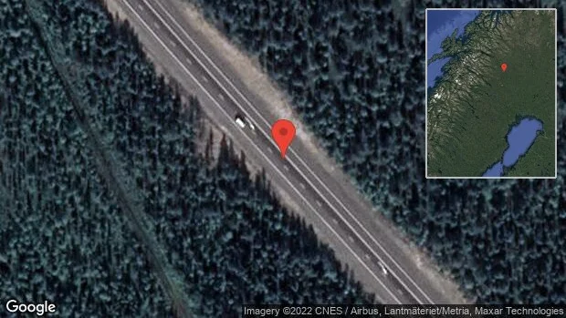 Älg på vägen på E10