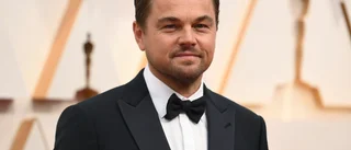 DiCaprio skänker miljoner till Ukraina