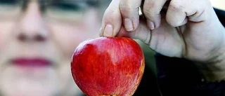 Seglivat äpple klarade utlandsresa