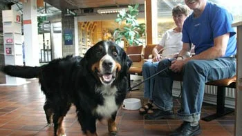 Olivia med matte Britt-Marie och husse Ola Andersson, Harbo, åkte för några år sedan akut in till Djursjukhuset i Uppsala mitt i natten när Olivia skulle valpa.