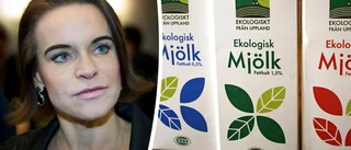 Uppsalaforskare bakom nytt pappersbatteri
