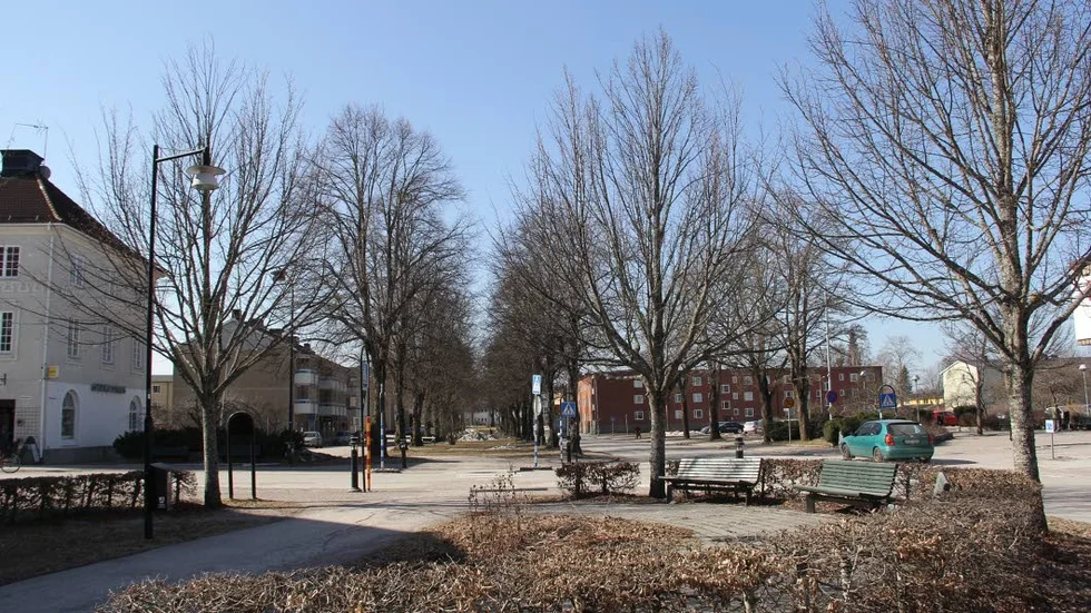 Centerpartiet har i Naturskyddsföreningens valenkät om natur och miljö svarat att man vill behålla den allé med lindträd på Södra Esplanaden i Tierps köping.