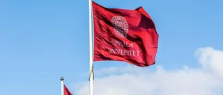 Universitetet: Inget forskningsfusk