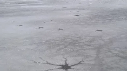 Staffan Larsson såg hålen vid en skridskotur på Vårdsätravikens is.