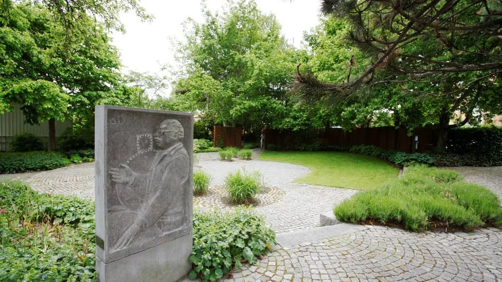Frukt. I Blombergs park och i Kölnbacksparken finns det äppelträd.