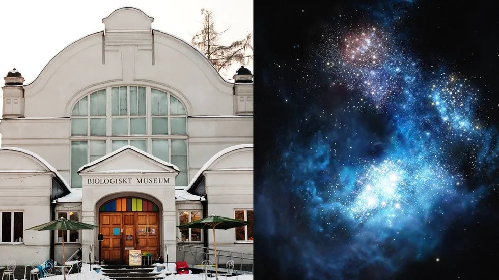 Rymdtema hela december blir det på Biotopia.