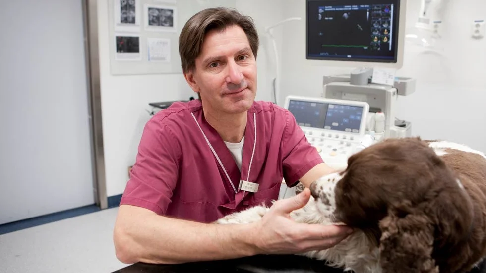 Jens Häggström, professor i smådjursmedicin vid SLU.