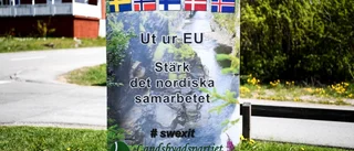 Odemokratisk bevakning av EU-valet