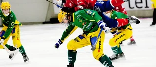 Sundin kritisk mot domarinsatsen