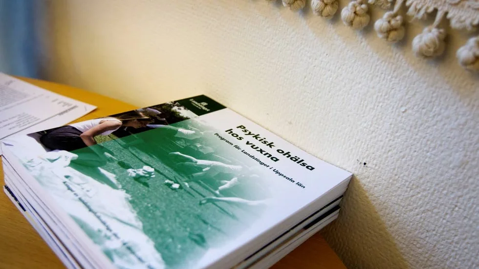 Psyiatrin. Enligt Vivianne Macdisi (S) står psykaitrin högst upp på dagordningen vid kommande sammanträde för hälso- och sjukvårdsstyrelsen.
