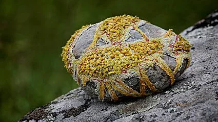 Mossbelupen. Broderi kring sten av Ebba Stålhandske.