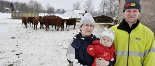 Krav-bönder vill ha ny kommunal mathållning
