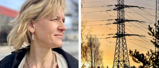 Så blev Sverige en av världens största elkonsumenter – Regionala experten kritisk till nya elbidraget