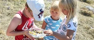 Barnen gick på skattjakt i Långalma