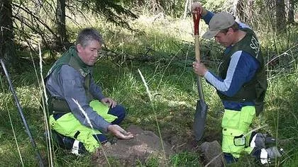 Mikael Persson (i keps) och Mikael Carlsson gräver en gropp utanför Gimo. SGU kartlägger jordmoränen i Uppland under sommaren.
