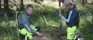 Ner i den uppländska myllan