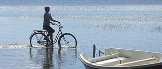 Tämnaren på väg att torka ut