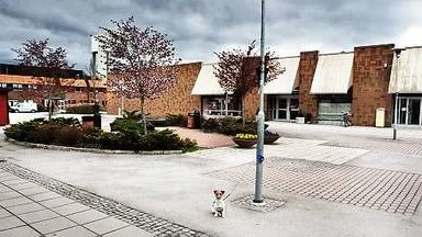 En ny staty är ett av förslagen för att lyfta Gimo torg.