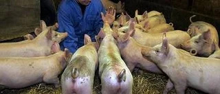 Bönderna känner hopp för framtiden