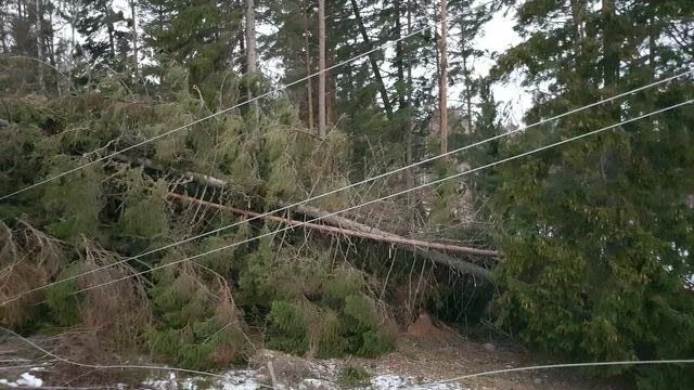 Det har gått en dryg vecka sedan stormen Alfrida rasade över Uppsala län och fortfarande står 219 kunder utan el.