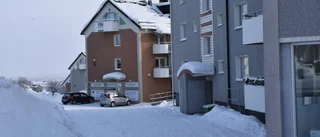 Nya uppgifter: Så ska Karlavagnen överleva