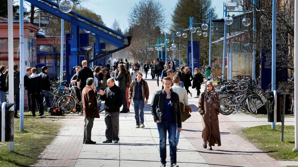 Intresset för LTU:s civilingenjörsutbildningar viker. En oroande trend som kommer i samma tid som norra Sverige står inför nya industrietableringar och stora kompetensbehov.