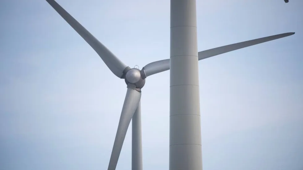 Satsning. Hundratals vindkraftverk kommer att stå i Markbygden.