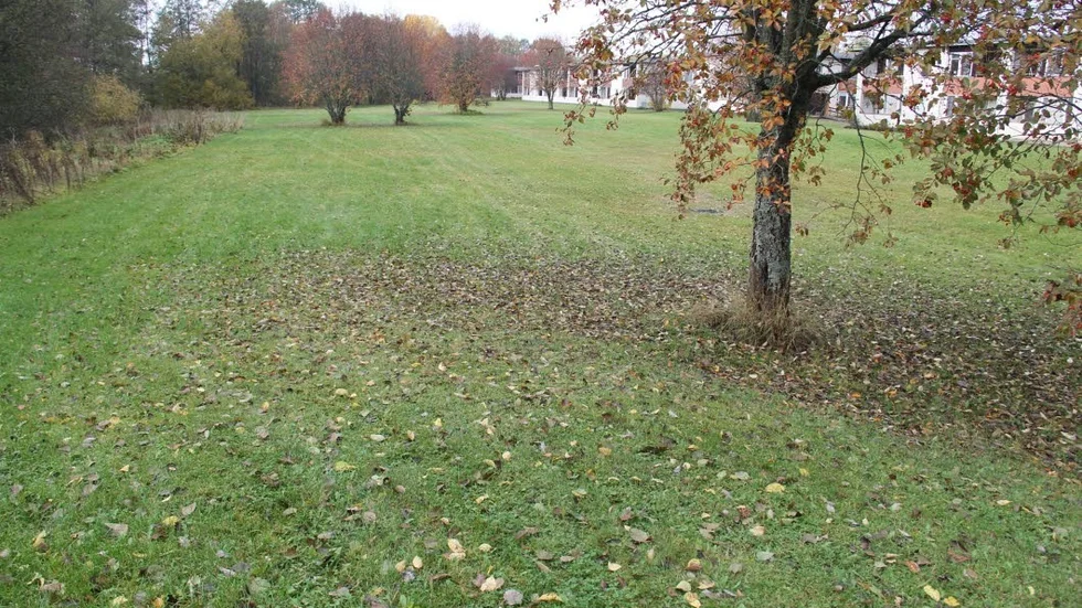 Odlingsbart. Det planerade området för kolonilotter mellan bostadsområdet vid Bondegatan och Siggbobäcken i Tierp.