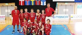 Sävjakillar i landets basketelit