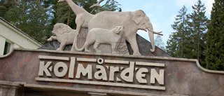 Kraftiga böter för zoochef