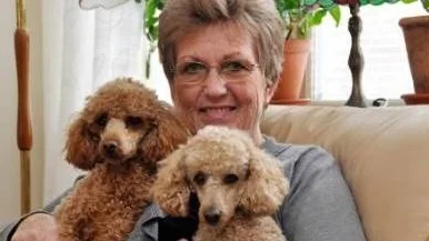 Marianne Wikström och dvärgpudlarna Chilli och Isak.