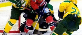 Hästens utSKÅpning