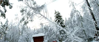 I elavbrottens spår