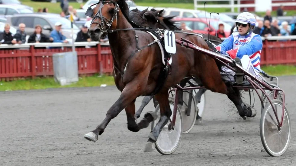 Ove A Lindqvist vann med Katla Kiros.  (Arkivbild)